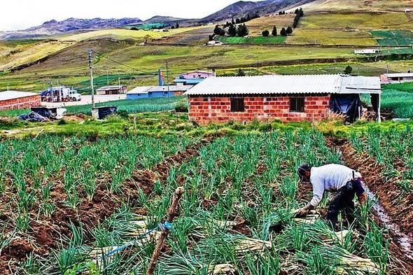 ALSA EN EL IMPUESTO PREDIAL PARA ESTE 2026